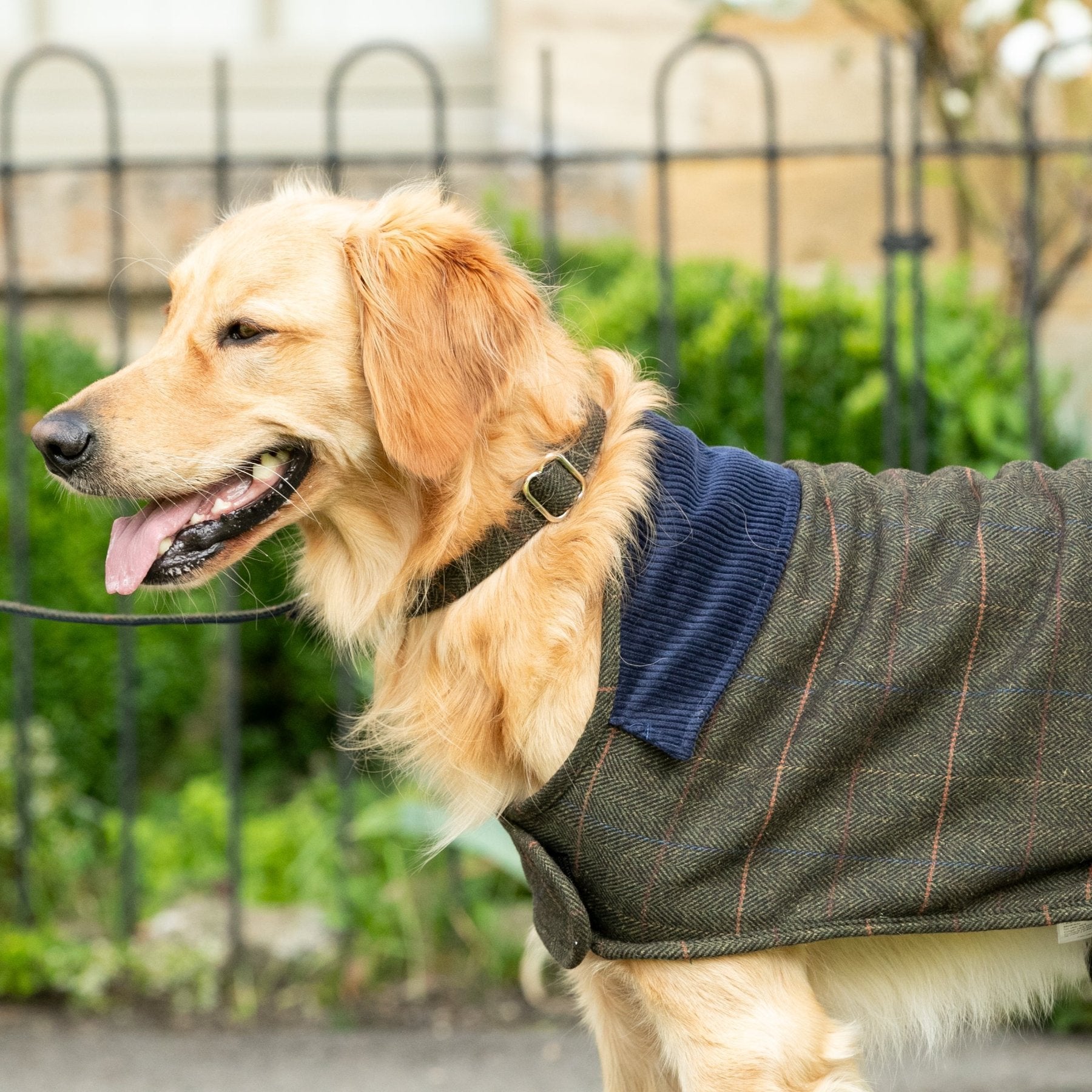 Hugo & Hudson X Hackett Dark Green Checked Herringbone Tweed Dog Jacket
