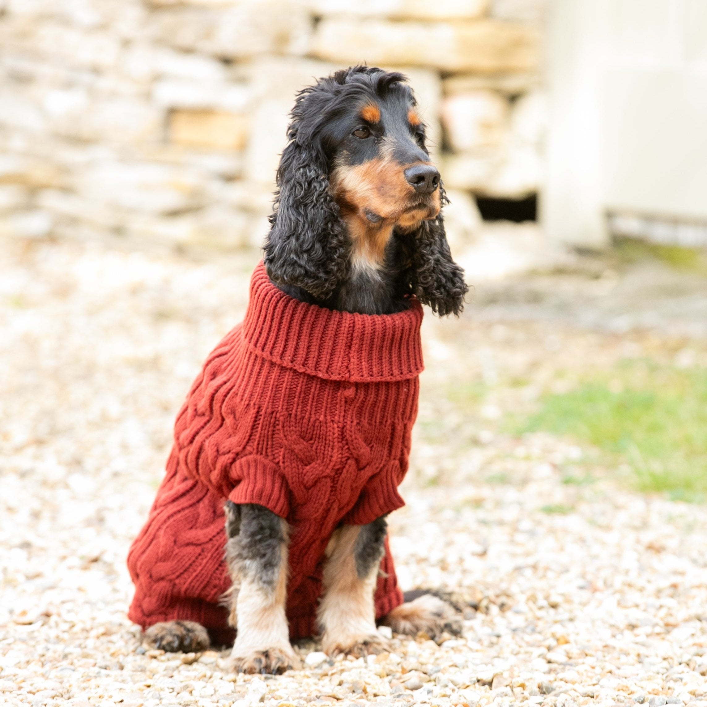 Hugo & Hudson X Hackett Cable Knit Pullover Dog Jumper - Brick