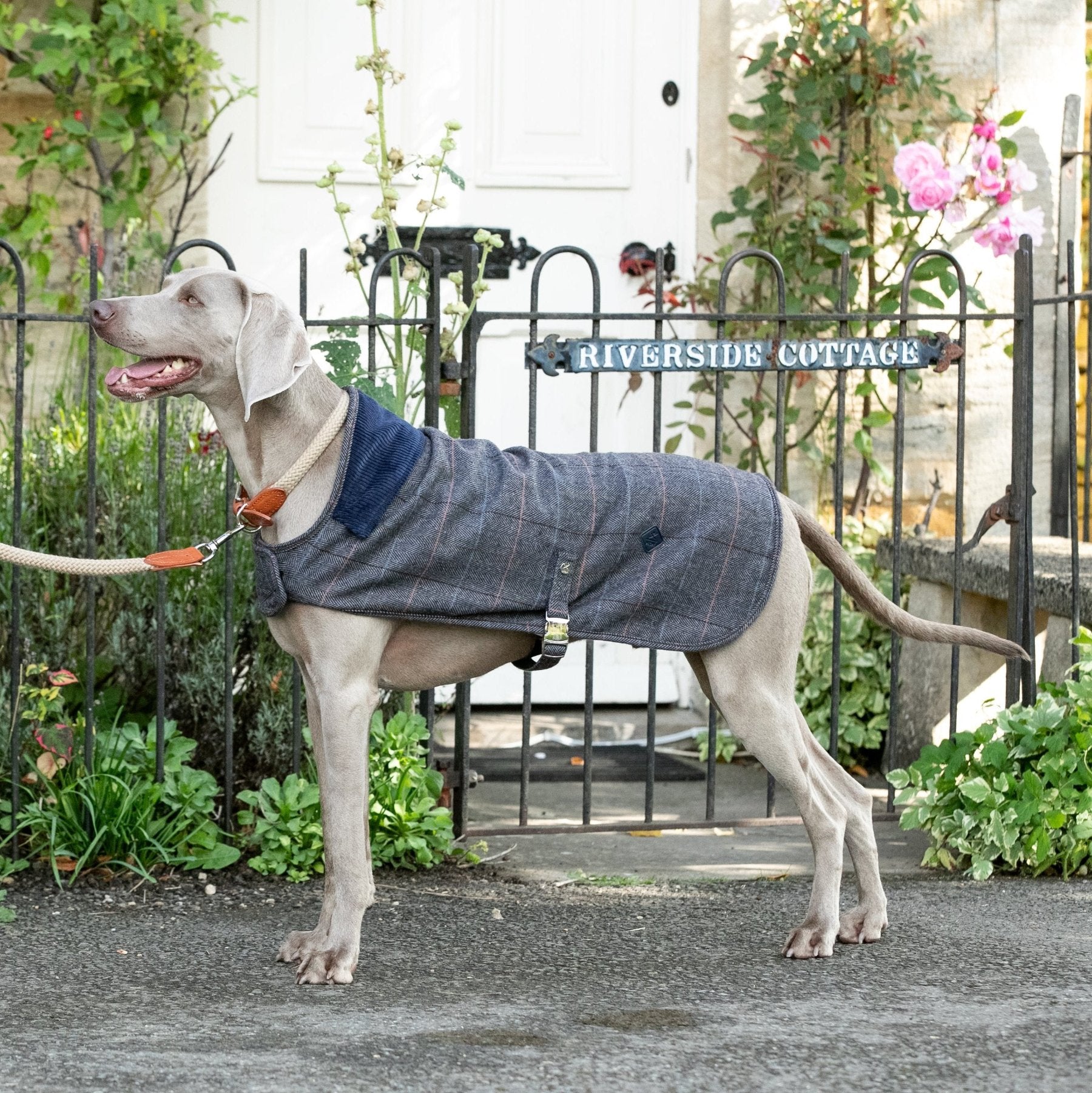 Hugo & Hudson X Hackett Grey Checked Herringbone Tweed Dog Jacket