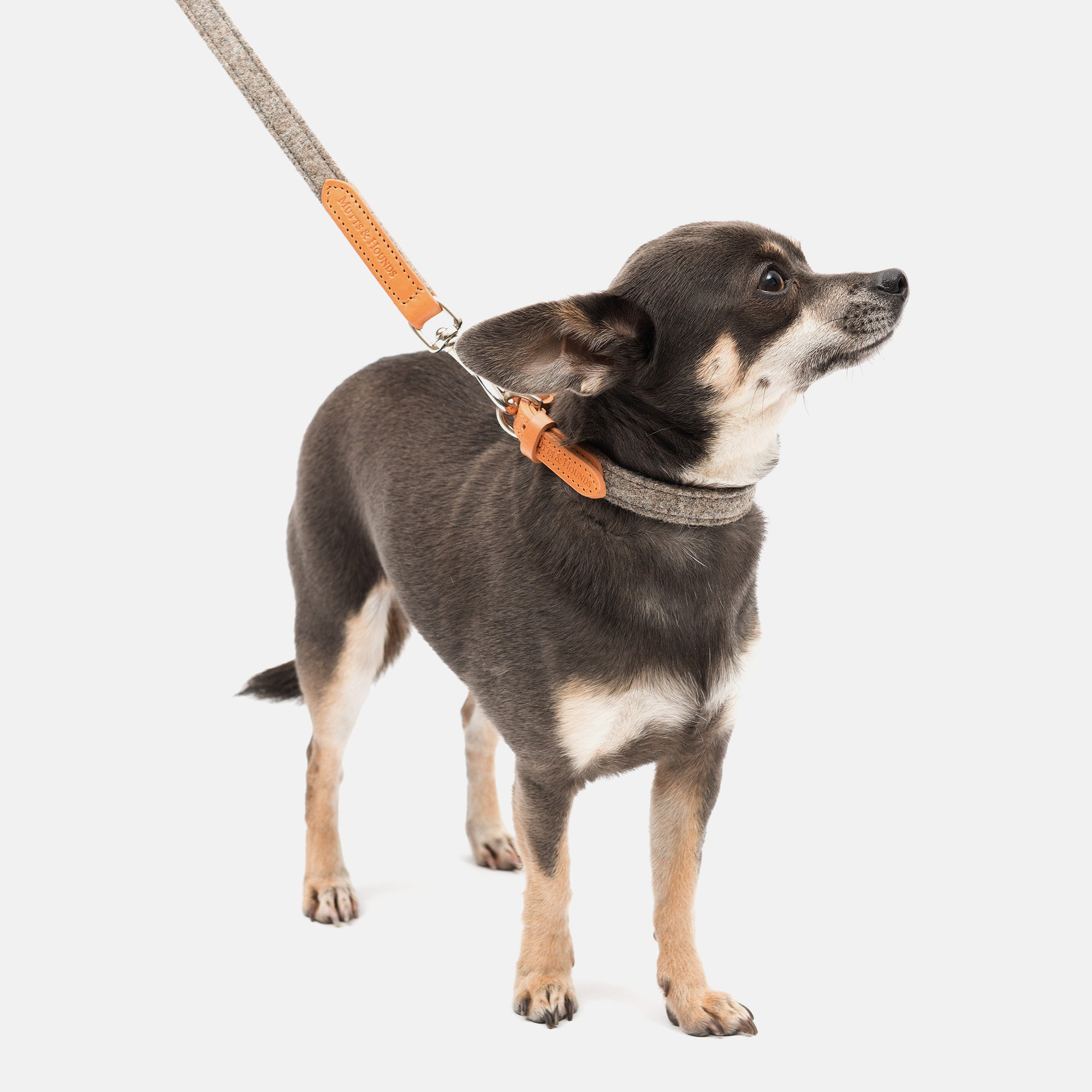 Camello Leather & Grey Tweed Dog Lead