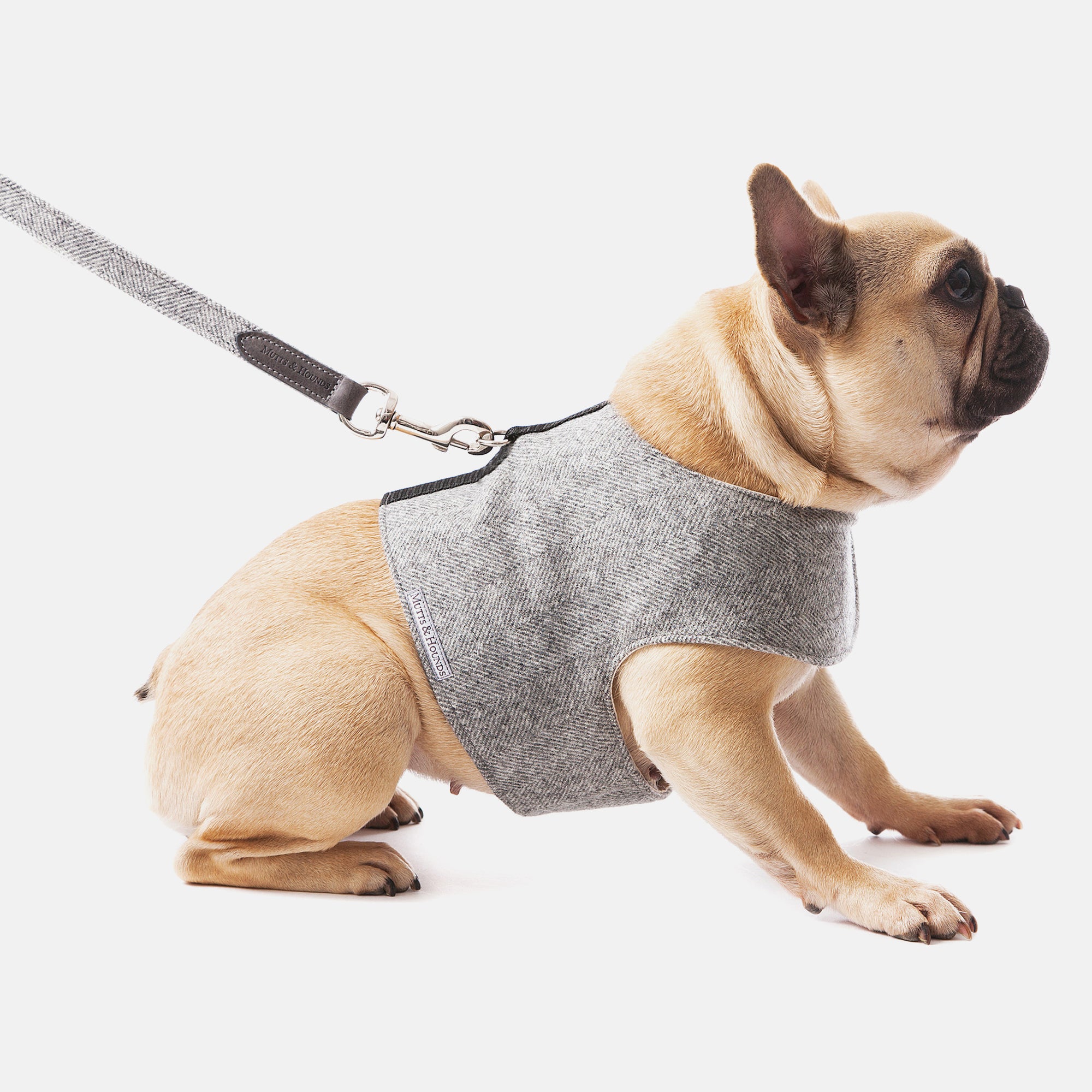 Stoneham Tweed Dog Harness