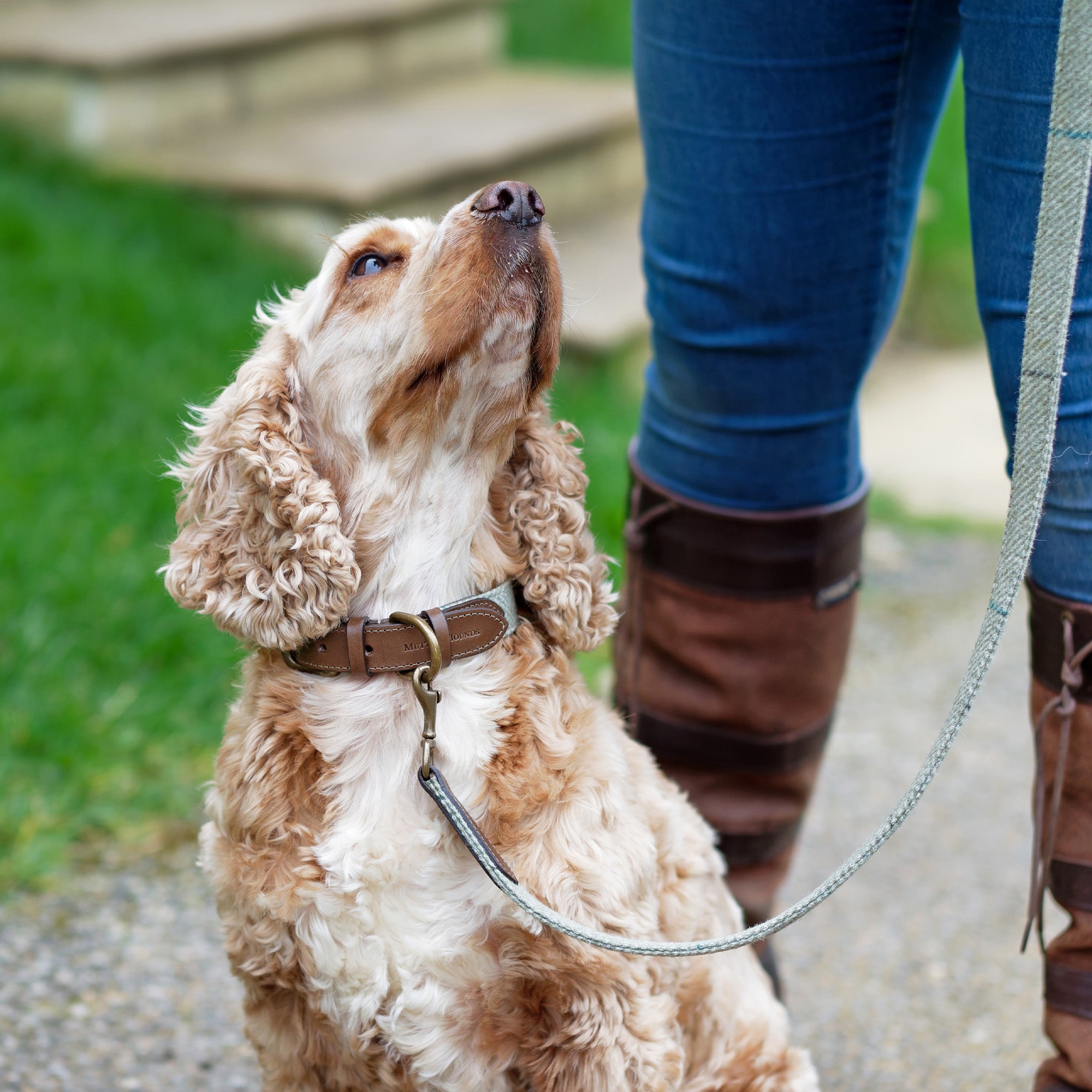 Willow Check Tweed & Leather Dog Lead