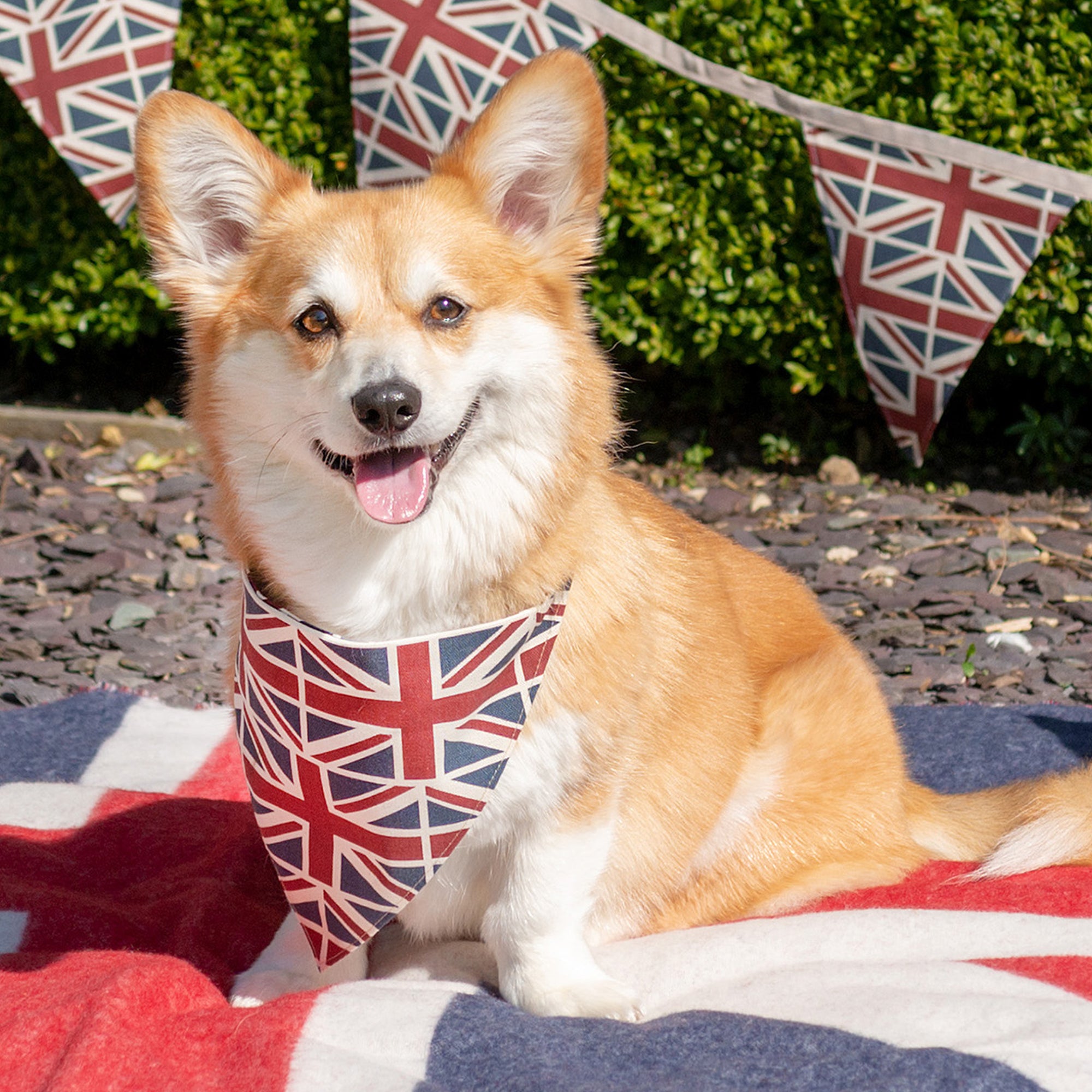 Union Jack Dog Neckerchief