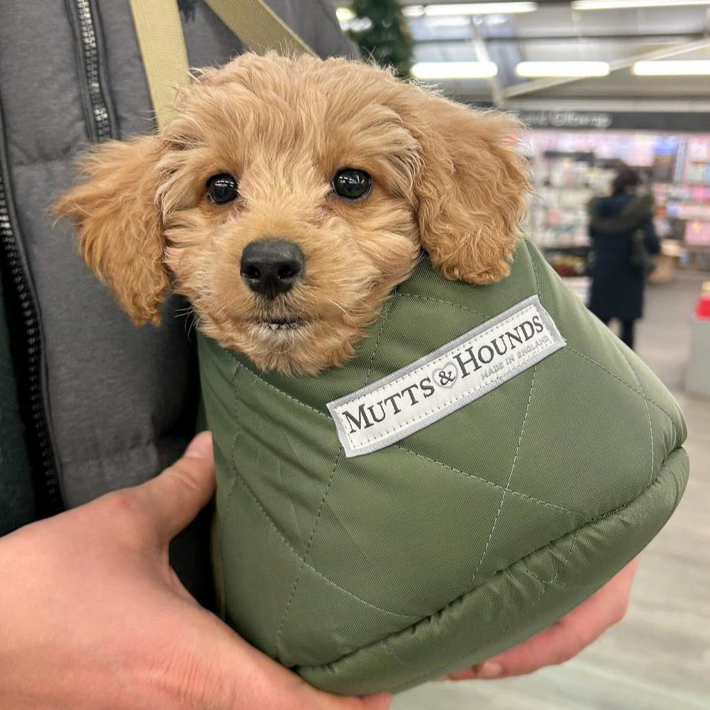 Olive Quilted Dog Carrier