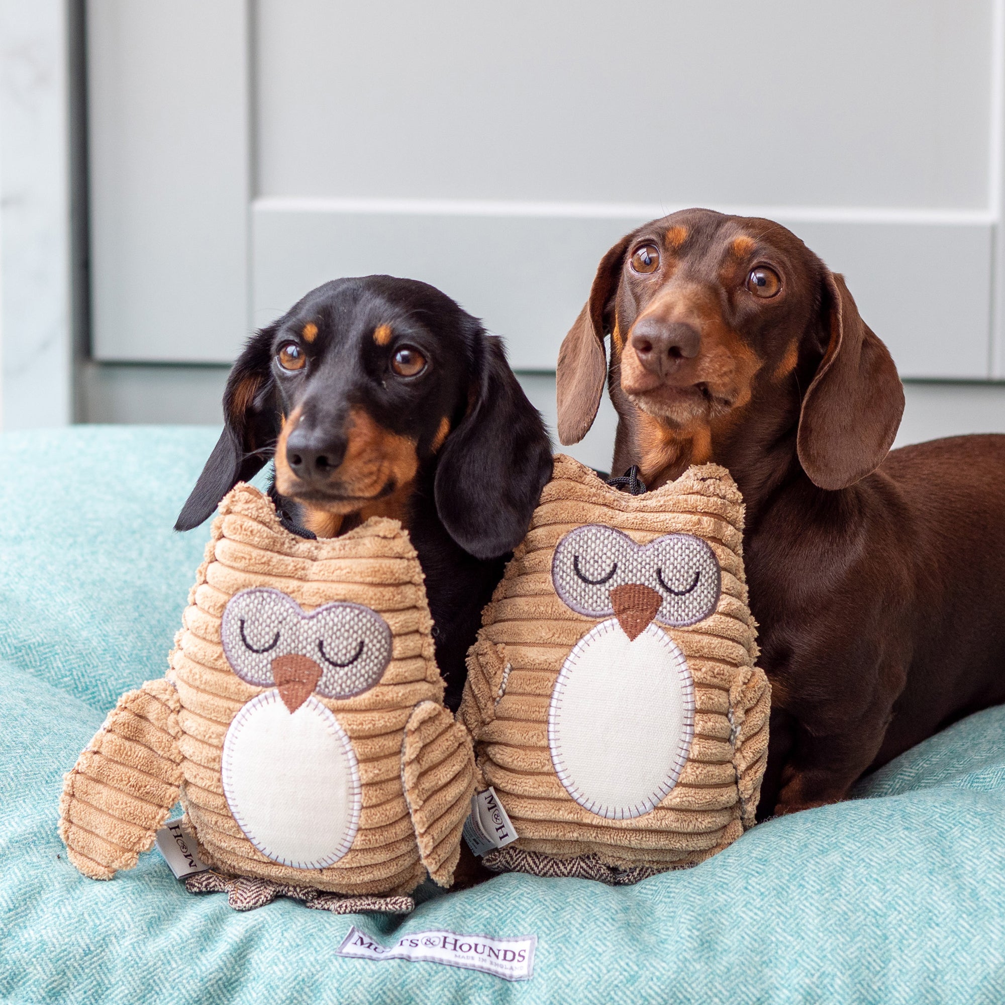 Ollie Owl Plush Dog Toy