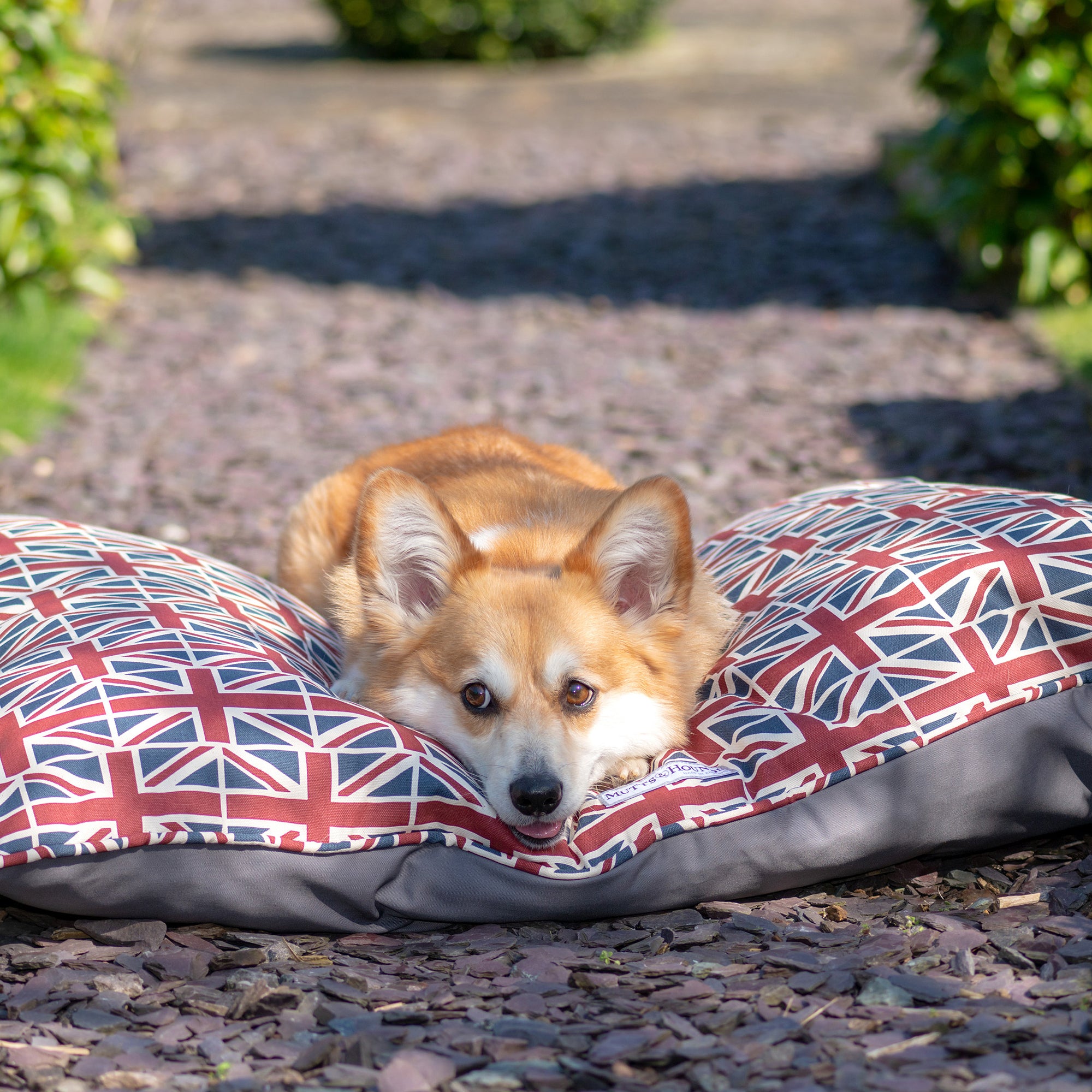 Union Jack Pillow Dog Bed