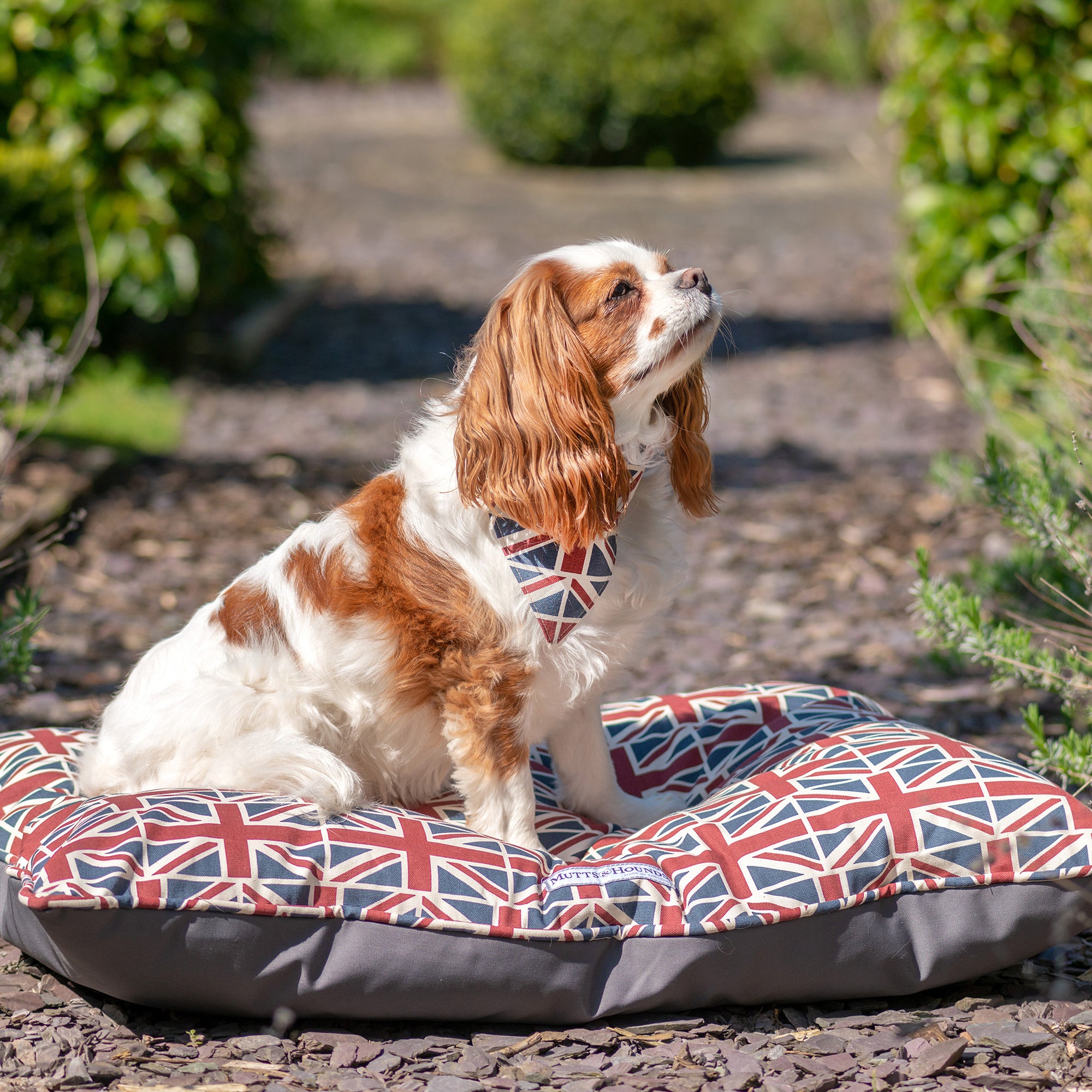 Union Jack Pillow Dog Bed