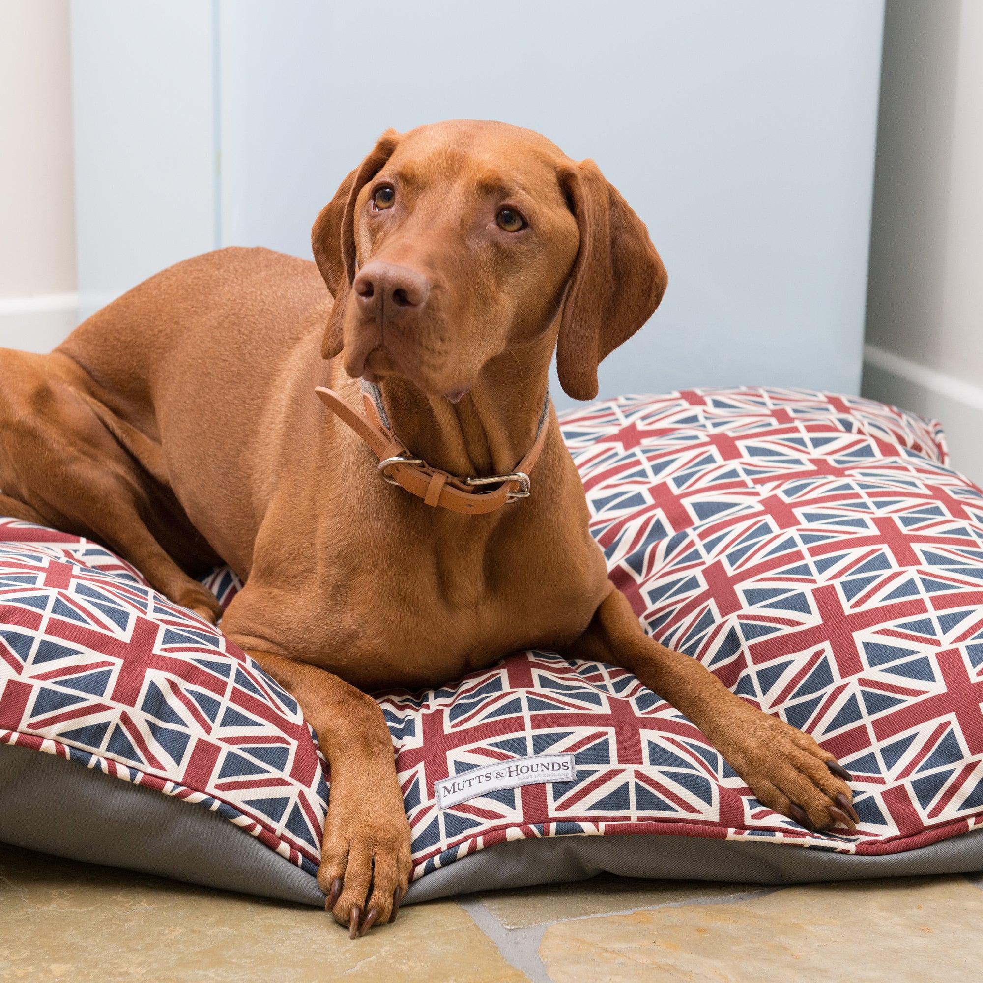 Union Jack Pillow Dog Bed