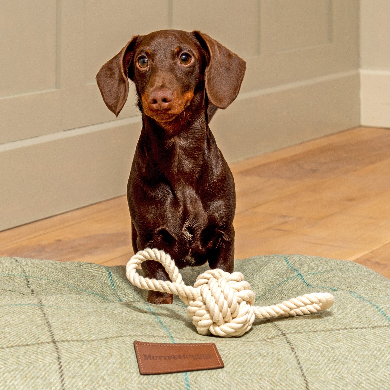 Small Rope Tug Dog Toy