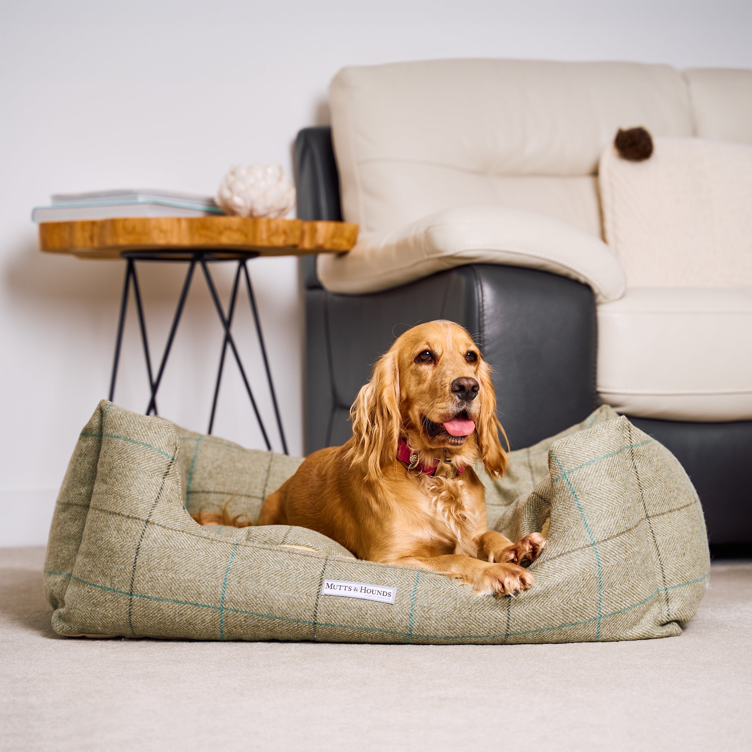 Willow Check Tweed Boxy Dog Bed
