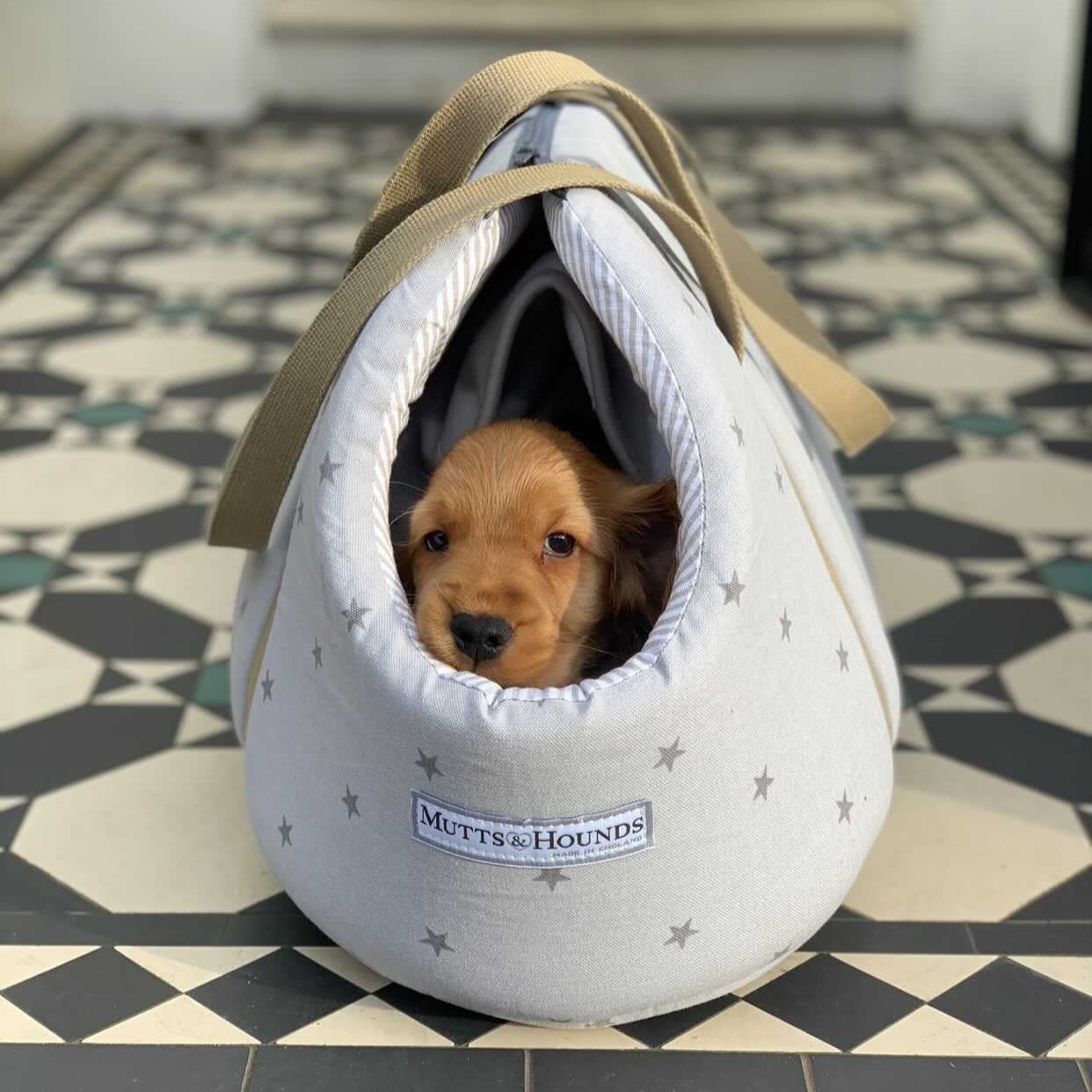 Grey Stars & Charcoal Stripe Dog Carrier