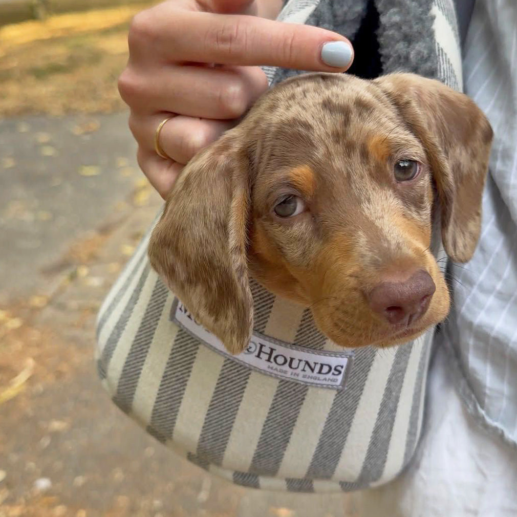 Flint Stripe Brushed Cotton Dog Carrier