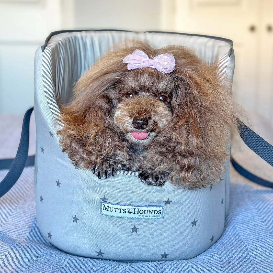 Grey Stars & Charcoal Stripe Dog Carrier