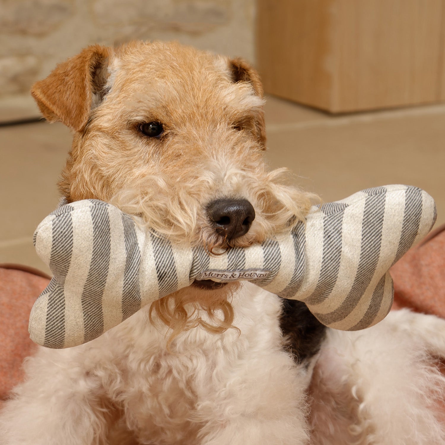 Flint Stripe Squeaky Bone Dog Toy