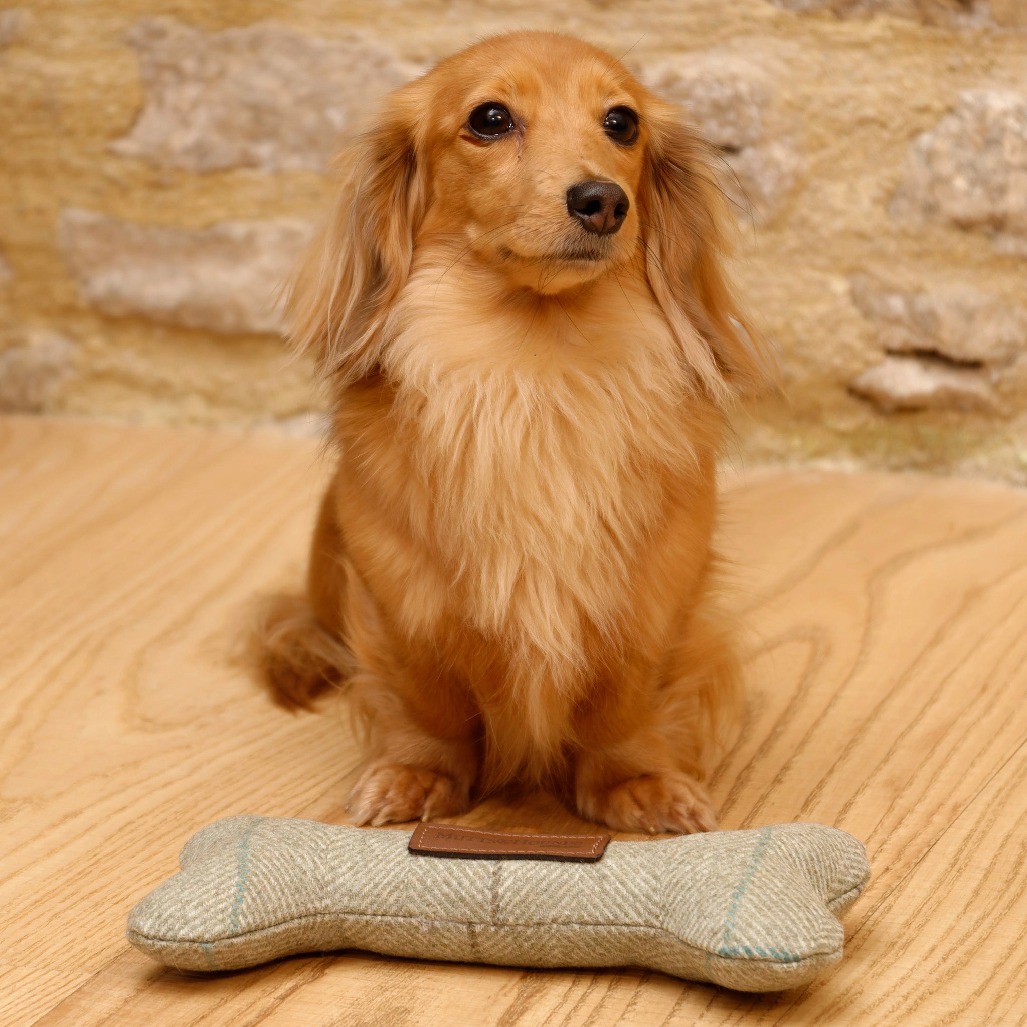 Willow Check Tweed Squeaky Bone Dog Toy