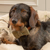 Forest Green Tweed Dog Bow Tie