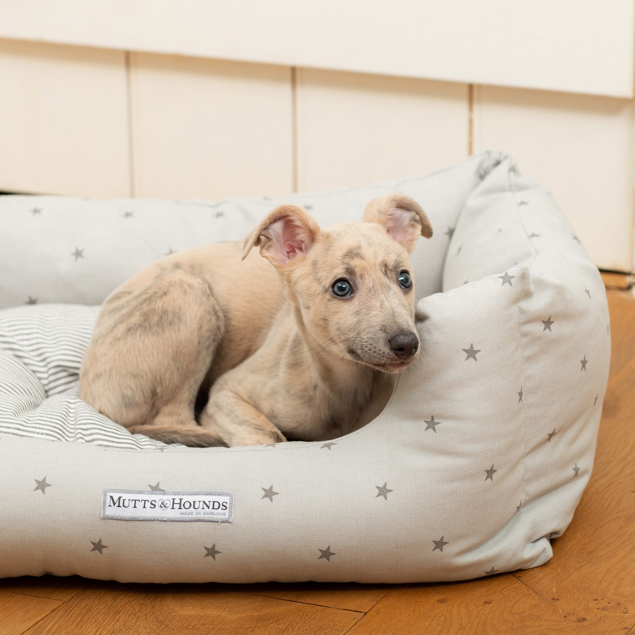 Grey Stars & Charcoal Stripe Boxy Dog Bed