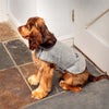 Stoneham Tweed Dog Coat