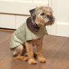 Willow Check Tweed Dog Coat