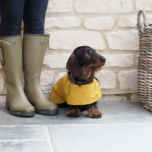 Mustard Waxed Waterproof Dog Coat