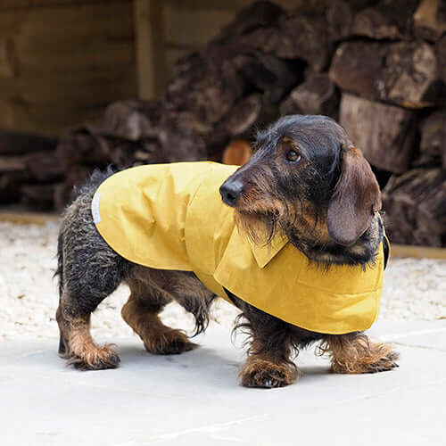Mustard Waxed Waterproof Dog Coat