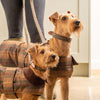 Heritage Tweed & Leather Dog Collar