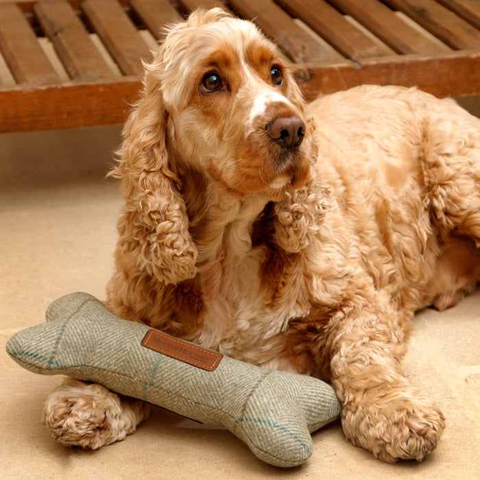 Willow Check Tweed Squeaky Bone Dog Toy