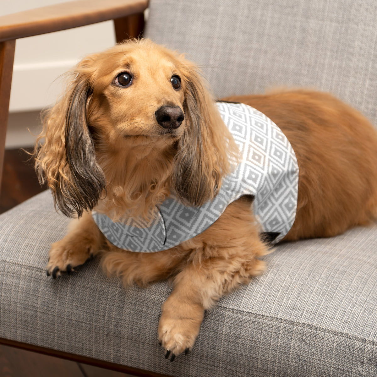 Oxford Grey Soft Dog Harness