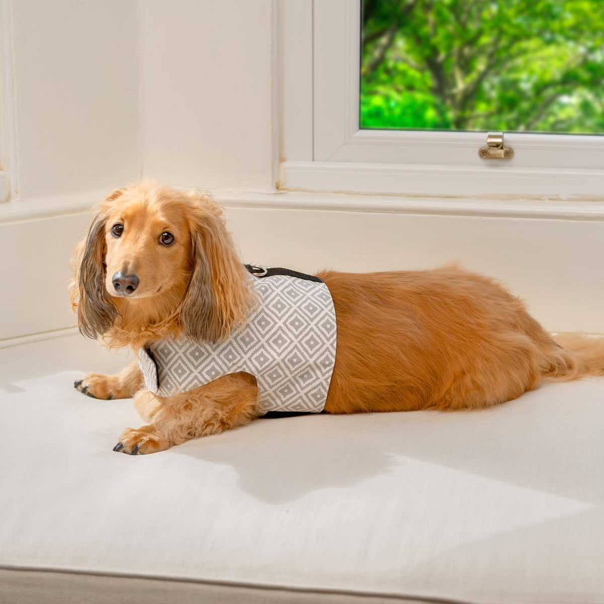 Oxford Grey Soft Dog Harness