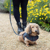 Tytherton Tweed Soft Dog Harness