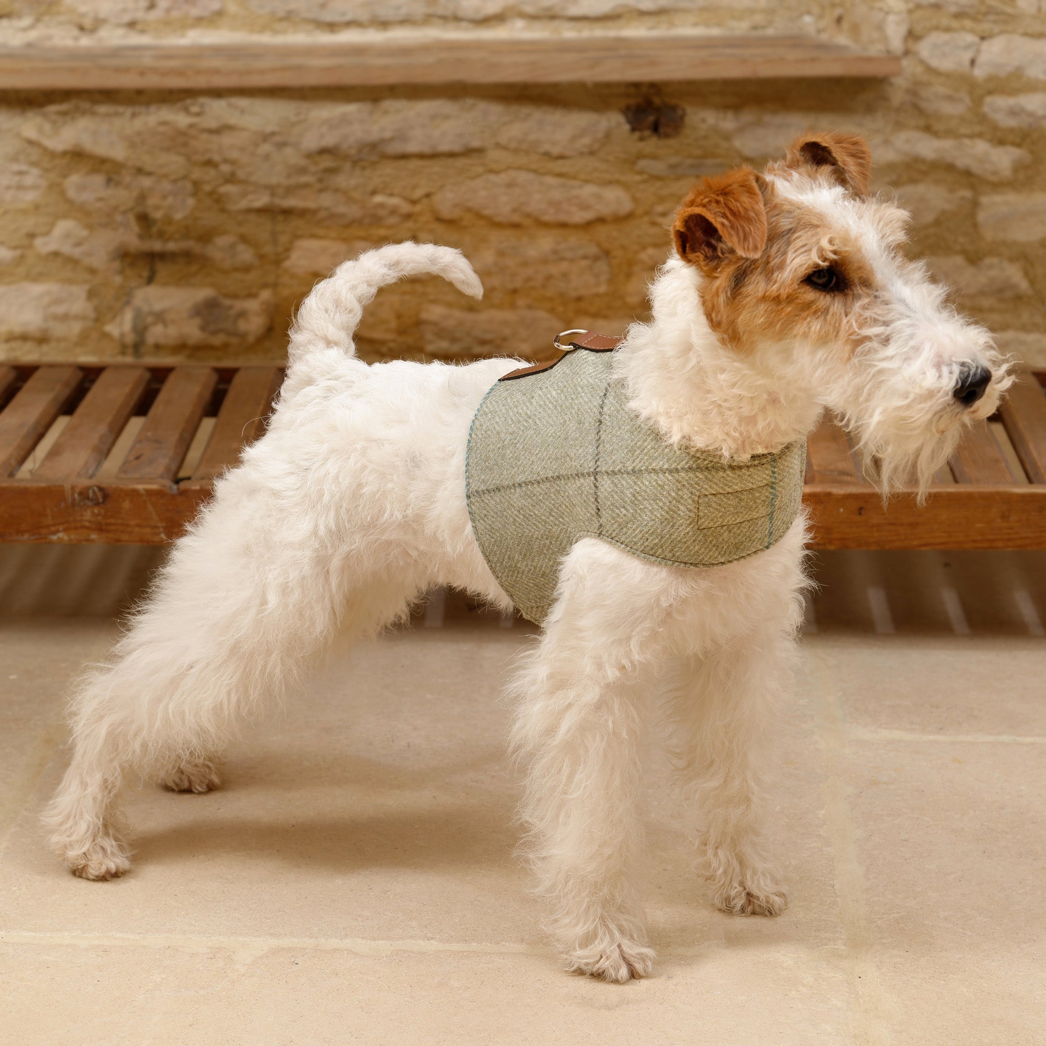 Willow Check Tweed Soft Dog Harness