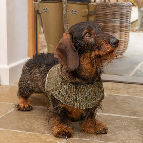 Heritage Tweed Soft Dog Harness