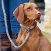 Natural Wool Rope & Leather Slip Dog Lead