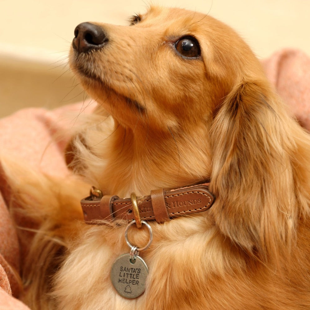 Santa's Little Helper Christmas Dog Tag