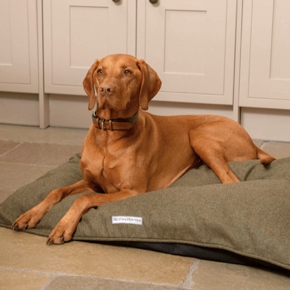 Forest Green Tweed Pillow Dog Bed