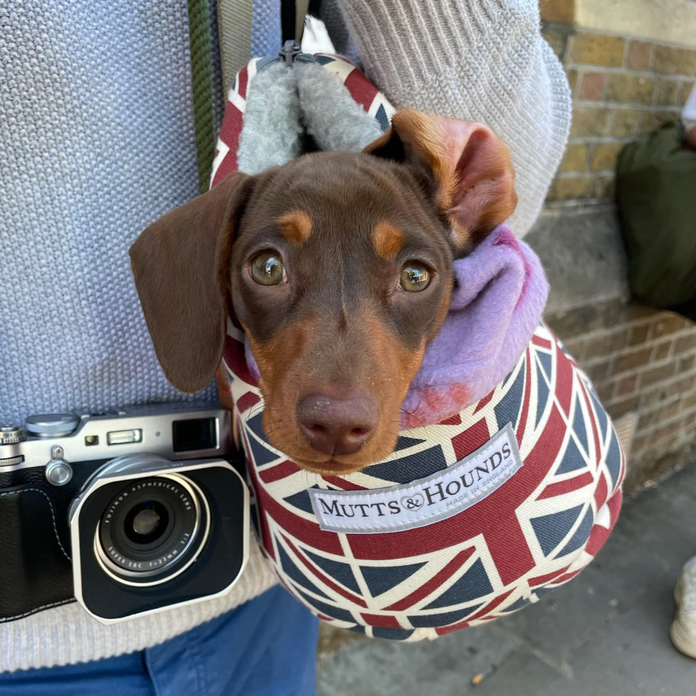 Union Jack Dog Carrier