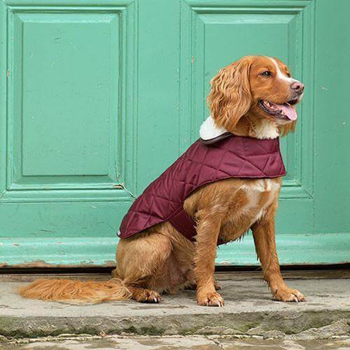 Grape Quilted Dog Coat