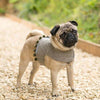 Grey Tweed Soft Dog Harness with Olive Pom Poms