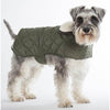 Olive Quilted Dog Coat