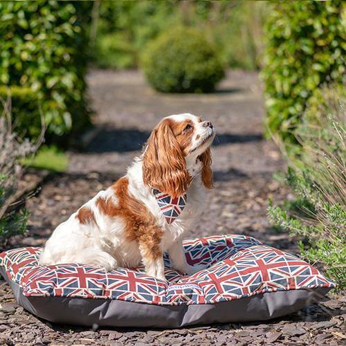 Union Jack Pillow Dog Bed